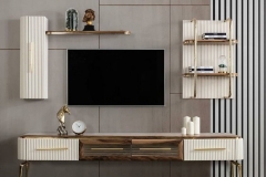 TV-UNISTESI-101